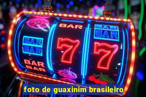 foto de guaxinim brasileiro