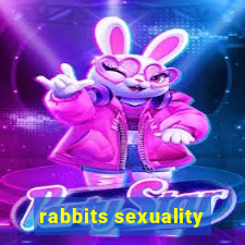 rabbits sexuality