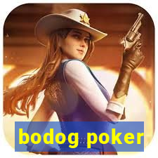 bodog poker