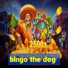 bingo the dog