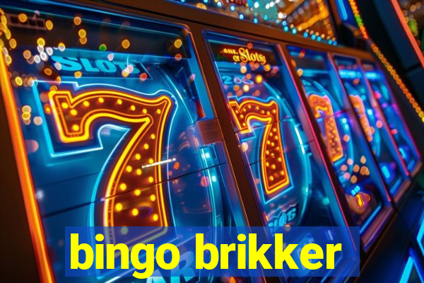 bingo brikker