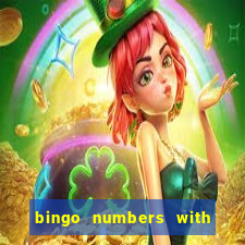 bingo numbers with highest probability