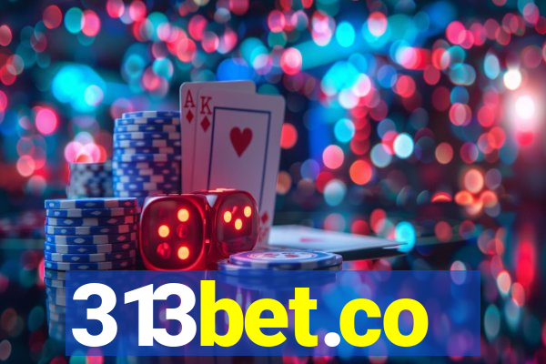 313bet.co