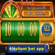 éléphant bet app