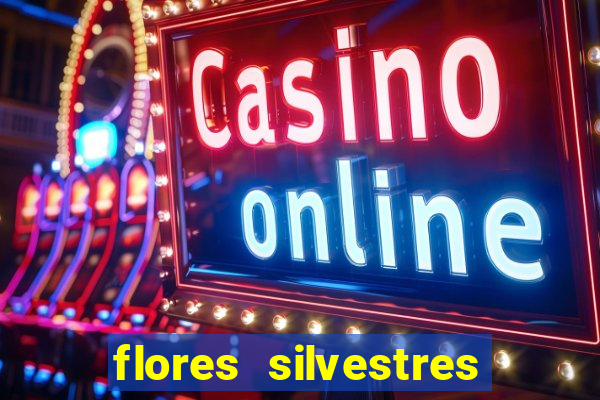 flores silvestres desbravadores desbravadores 25