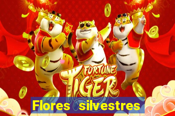 Flores silvestres brasileiras brasileiras flores silvestres nomes e imagens