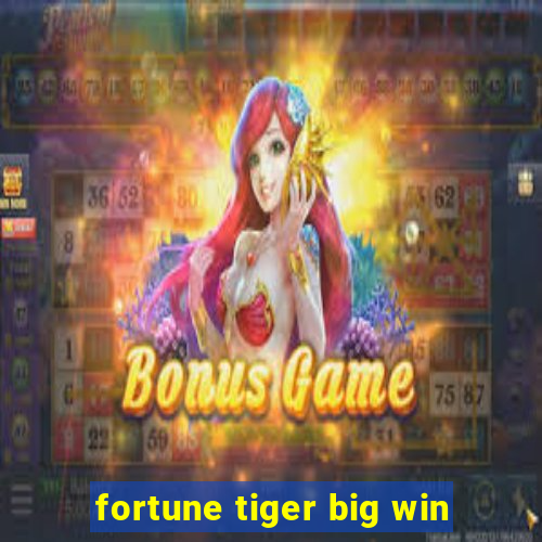 fortune tiger big win