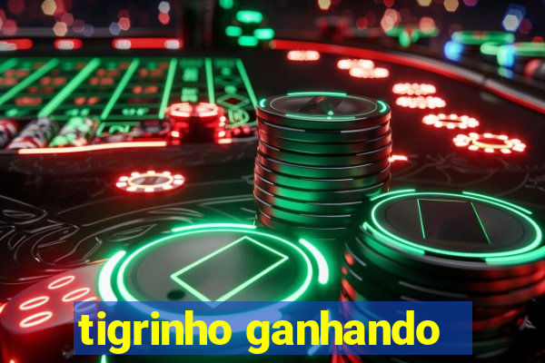 tigrinho ganhando