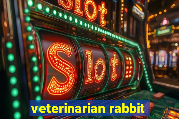 veterinarian rabbit