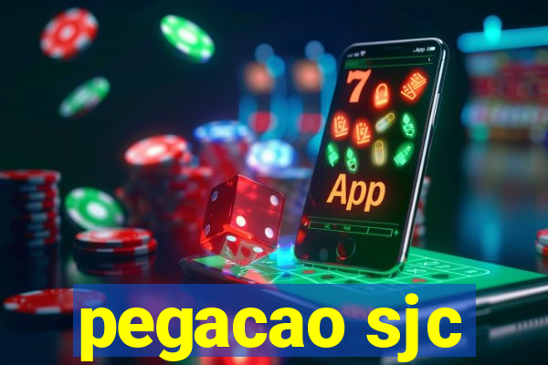 pegacao sjc