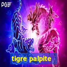 tigre palpite