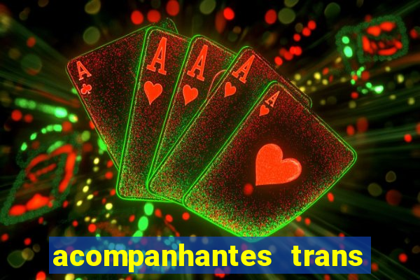 acompanhantes trans baixada fluminense