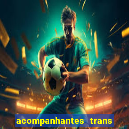 acompanhantes trans baixada fluminense