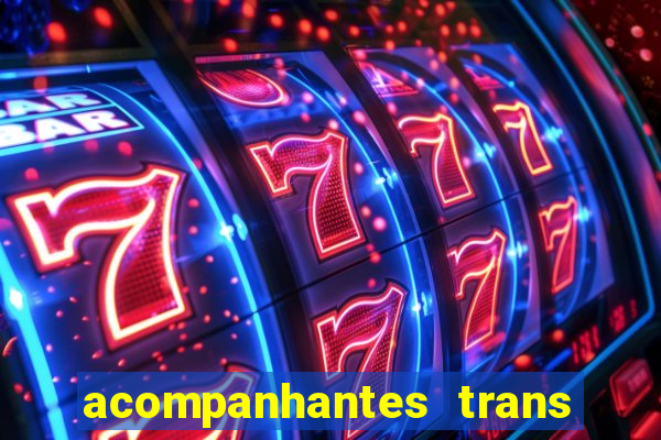 acompanhantes trans baixada fluminense