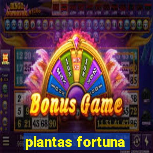 plantas fortuna