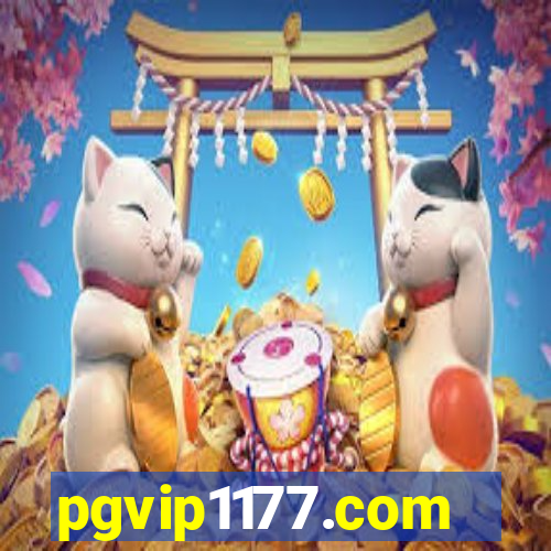 pgvip1177.com