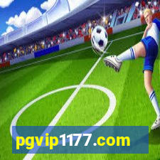 pgvip1177.com