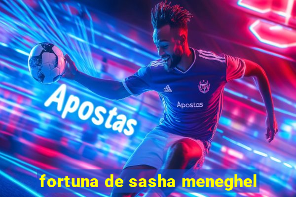 fortuna de sasha meneghel