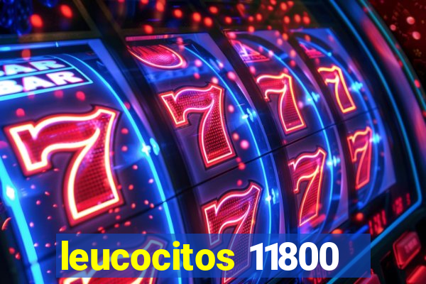 leucocitos 11800