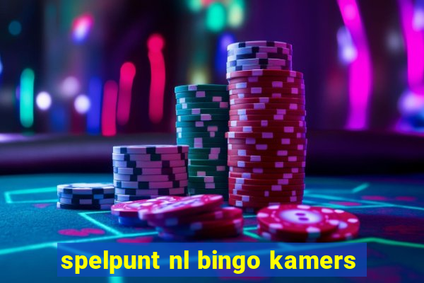 spelpunt nl bingo kamers