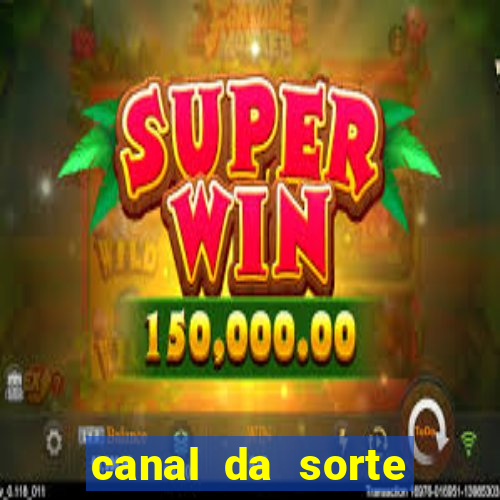 canal da sorte bingo de hoje