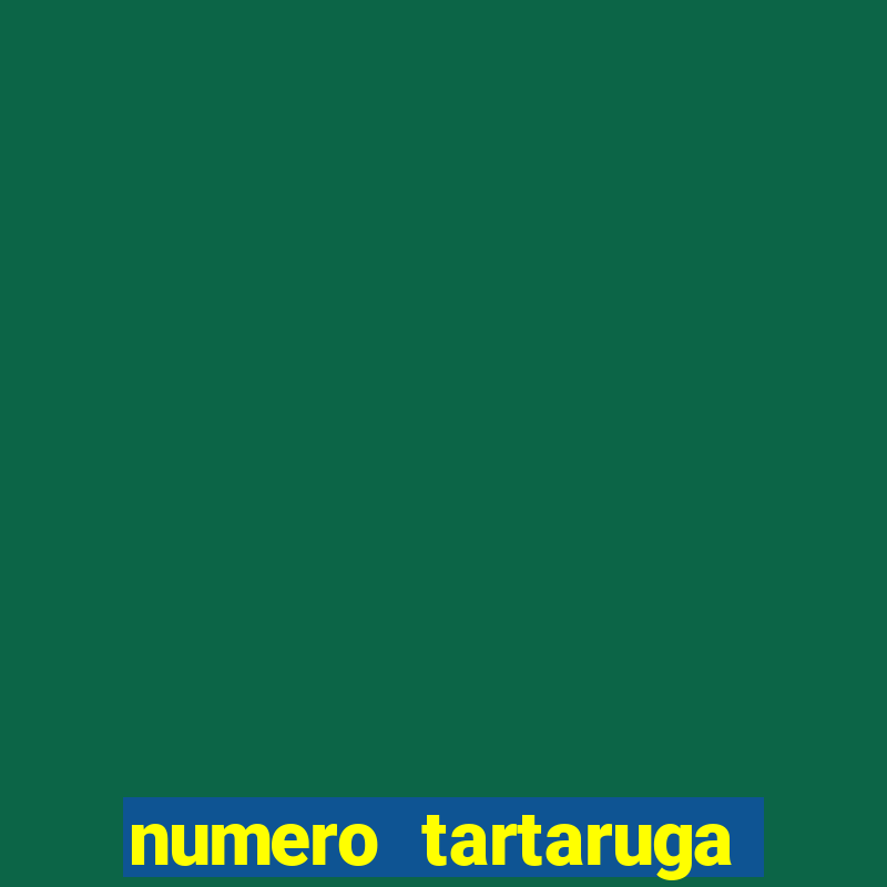 numero tartaruga jogo do bicho