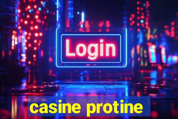 casine protine