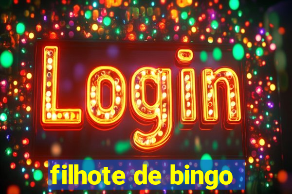 filhote de bingo