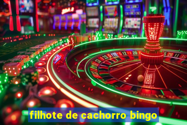 filhote de cachorro bingo