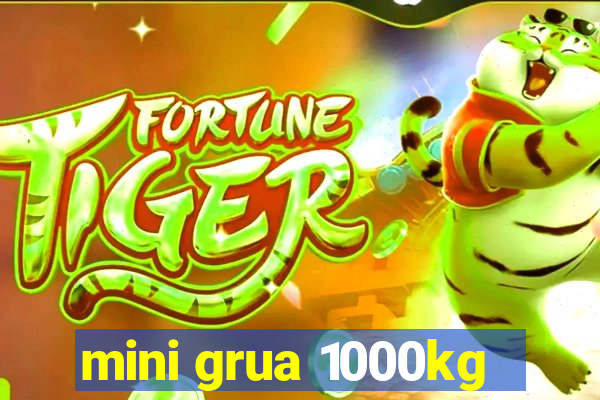 mini grua 1000kg