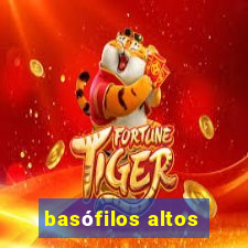 basófilos altos