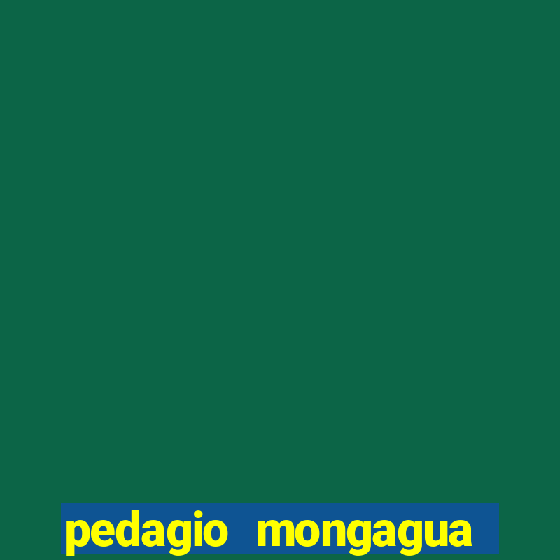 pedagio mongagua sao paulo