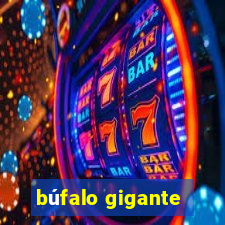 búfalo gigante