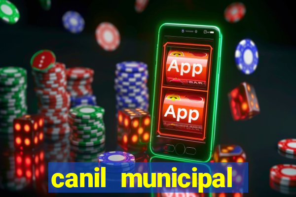 canil municipal porto alegre