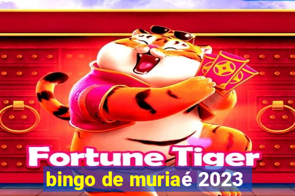 bingo de muriaé 2023