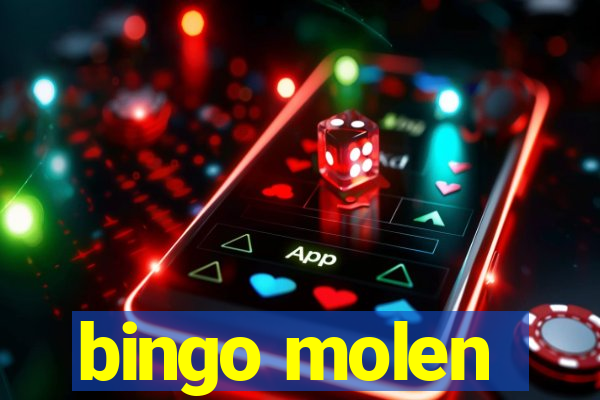 bingo molen