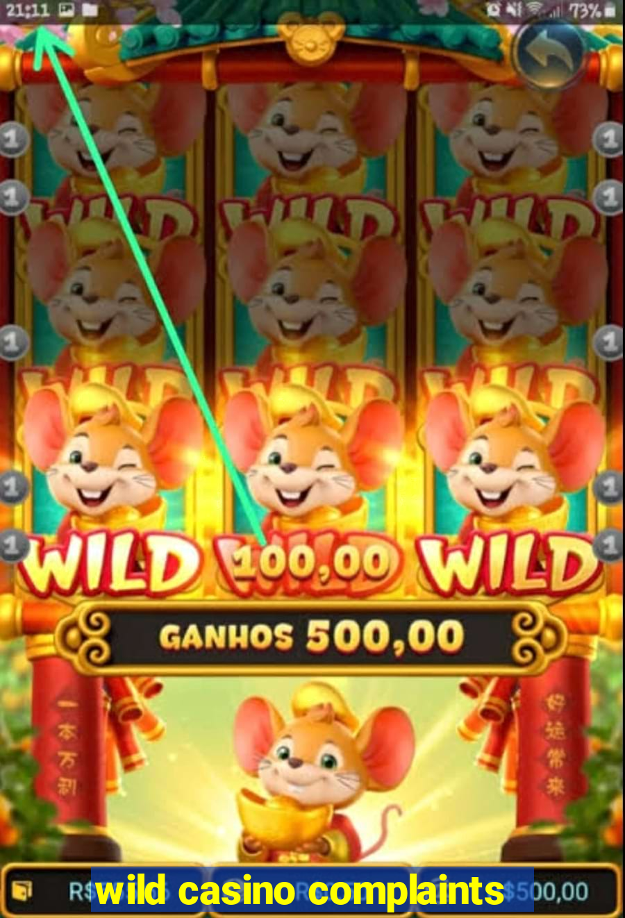 wild casino complaints