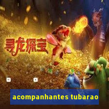 acompanhantes tubarao