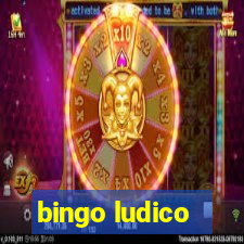 bingo ludico