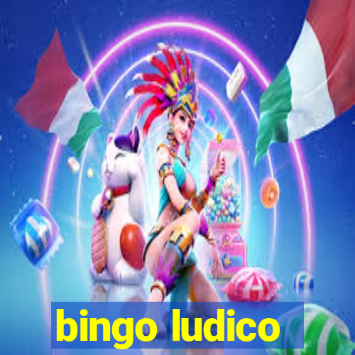 bingo ludico