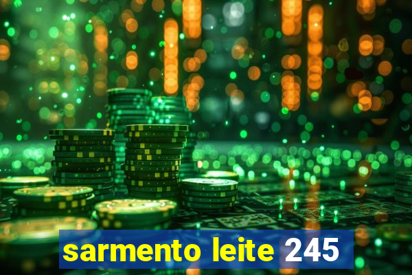 sarmento leite 245