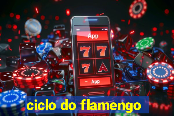 ciclo do flamengo