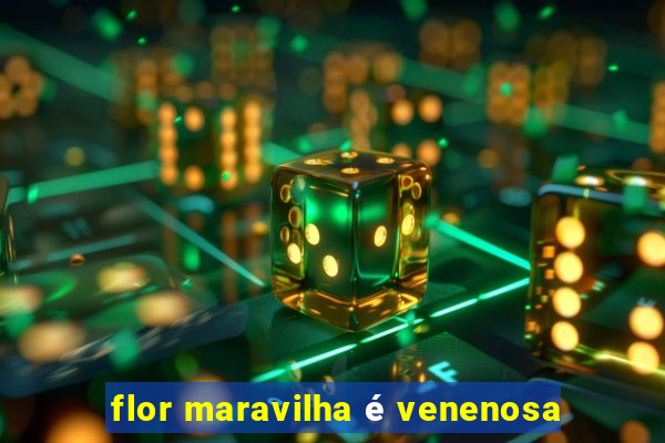 flor maravilha é venenosa