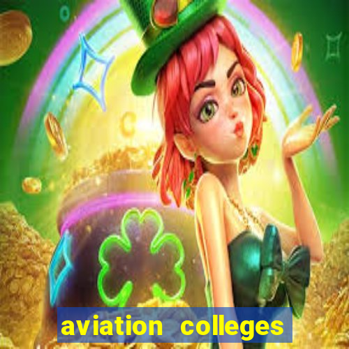 aviation colleges in usa