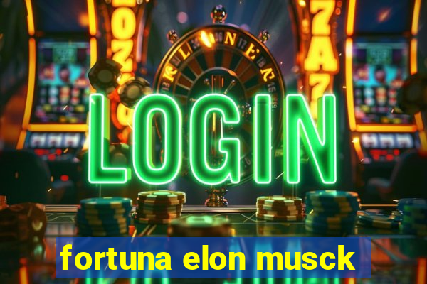 fortuna elon musck