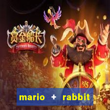 mario + rabbit kingdom battle