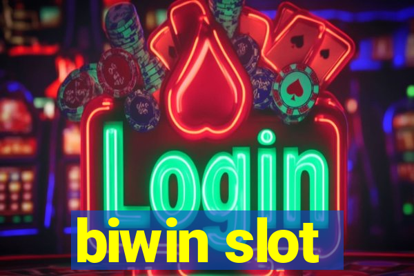 biwin slot