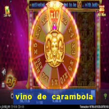 vino de carambola stardew valley