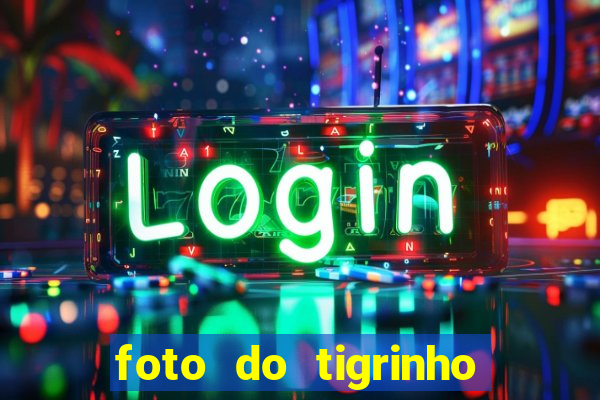 foto do tigrinho do jogo