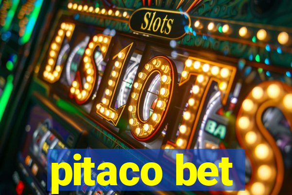 pitaco bet